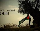 Nakba 2019 : La Palestine le cœur de l’Islam