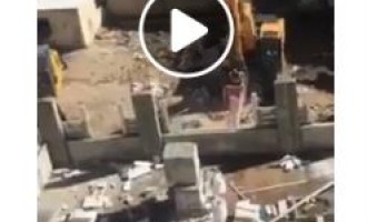 Vidéo | Le processus de démolition d’une école primaire palestinienne dans le camp de réfugiés de Shu’fat, Jérusalem occupée, par l’occupation israélienne a commencé !