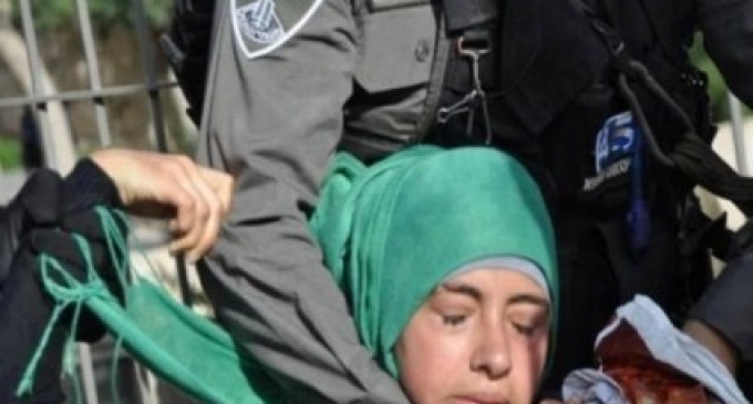 LE GROUPE DES DROITS DE L’HOMME : «ISRAËL» A ARRÊTÉ 2 600 PALESTINIENS EN 6 MOIS
