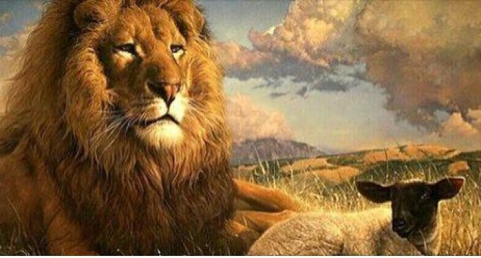 08.Le Grand Projet du Sauveur, Le Millenium