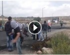 Vidéo qui montre la bassesse sioniste encore une nouvelle fois : déguisé en palestiniens pour les frapper