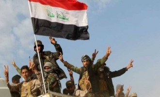 Les forces irakiennes récupèrent 60% de la partie orientale de Mossoul