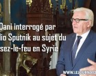 Cessez-le-feu en Syrie: retranscription de l’interview de Ali Dani