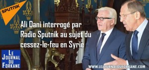 interview cessez le feu syrie