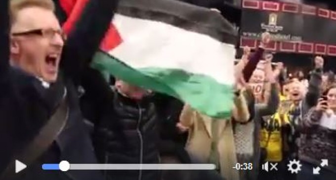 [Vidéo] | Gino Kenny, Candidat Irlandais, soulève le drapeau palestinien pour fêter sa victoire aux élections législatives