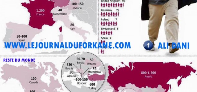 [Cartographie] | D’où viennent les terroristes de Daesh ?