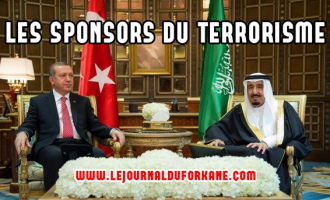 [Débat] | Selon vous qui sont les principaux défenseurs de Daesh ?