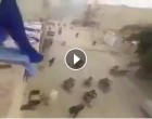 [Vidéo] | Regardez comment les terroristes salafistes quittent la ville de Fallujah