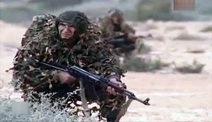 l'armée algérienne abat 12 terroristes