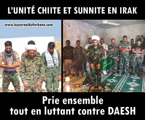 unite chiite sunnite