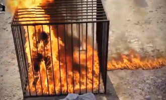 Daesh brûle 19 femmes à Mossoul