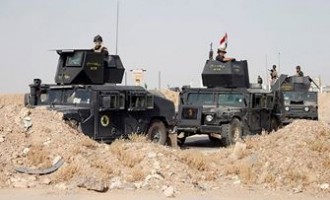 En images… Les forces irakiennes ont réussi à pénétrer en profondeur à 400 mètres au centre de Fallujah