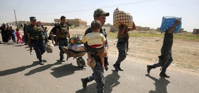 En images : Les habitants de Fallujah fuient la ville sous l’emprise des terroristes de Daesh