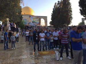 al qods en palestine 2