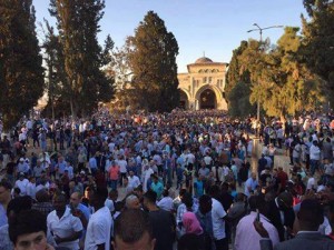 al qods en palestine 4