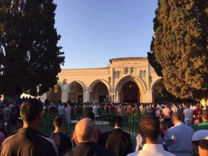 al qods en palestine 5