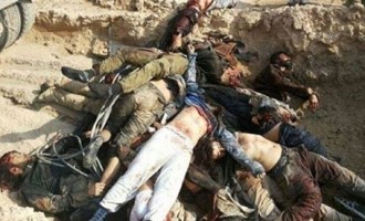 700 terroristes de Daesh éliminés dans l’île d’al-Khalidiya (Irak)