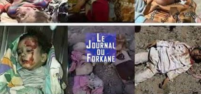 Yémen 495 jours de guerre…