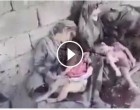 [VIDÉO]  Des Musulmans innocents, des familles massacré par daesh en Syrie