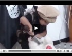 [VIDEO CHOC] L’éducation satanique des enfants de DAESH