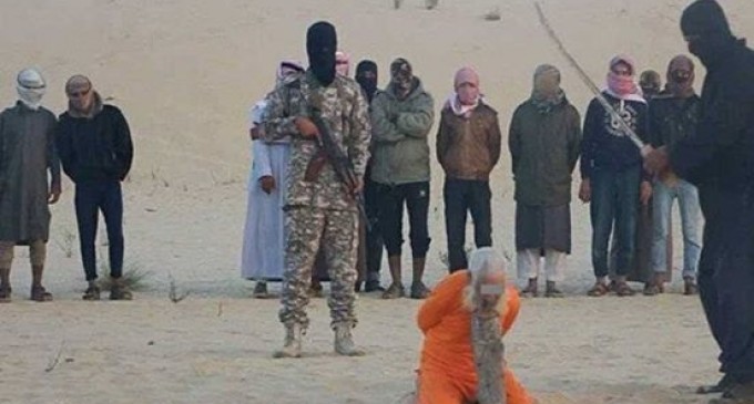 Daesh exécute un vieillard de 98 ans dans le Sinaï égyptien