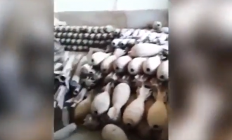 [Vidéo] | Les forces irakiennes trouvent le plus grand atelier de confection d’explosifs de Daech à Hammam al-‘Alil (située à 30 km de Mossoul)