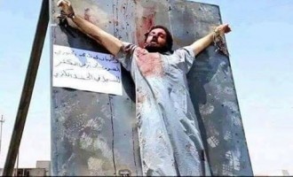 Daesh crucifie des jeunes irakiens