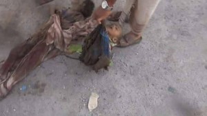 massacre à Al Hudaydah au Yémen commis par l’Arabie Saoudite4