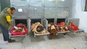 8 femmes et un enfant tombent en martyr4