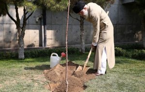 la journée de l'arbre1