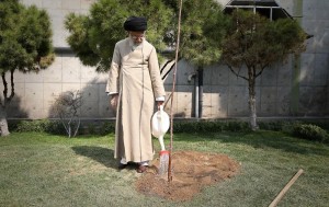 la journée de l'arbre2