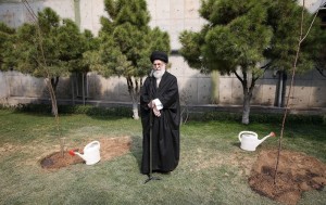 la journée de l'arbre3