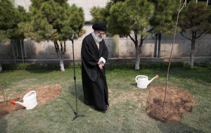 la journée de l'arbre4