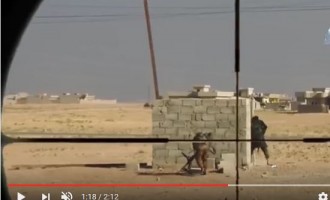 Les snipers irakiens abattent les terroristes de Daesh…filmé parfois par leurs propres caméras
