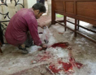 Attentat près d’une église copte en Egypte : 22 morts