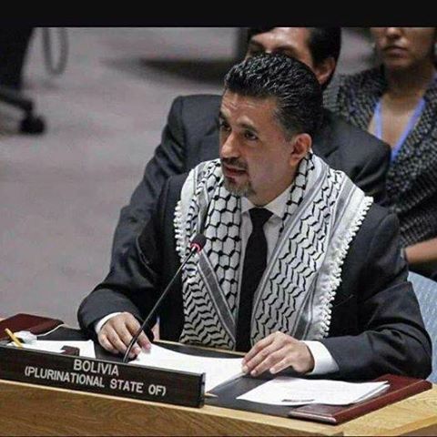 le Représentant de la Bolivie à l'ONU, portant le kefiyeh palestinien au cours de son allocution au conseil de sécurité.
