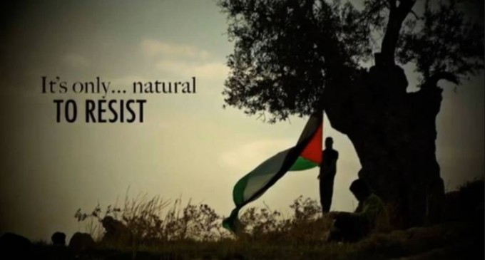 Nakba 2019 : La Palestine le cœur de l’Islam