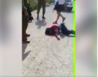 VIDÉO CHOC !!! Les sauvages soldats sionistes tirent sur une jeune palestinienne à Jénine, en Cisjordanie.