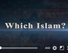 Quel Islam? Le satanique salafisme wahhabisme d’Arabie Saoudite ou L’Iran islamique chiite