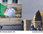 L’Algérie condamne « les actes criminels et terroristes » commis par les soldats de l’occupation israélienne et soutient la Palestine