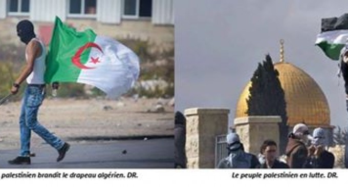 L’Algérie condamne « les actes criminels et terroristes » commis par les soldats de l’occupation israélienne et soutient la Palestine