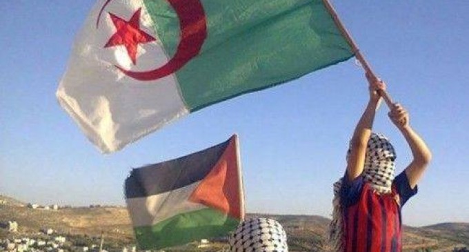 L’Algérie congédie l’Ambassadeur de l’Arabie Saoudite, qui traite le Hamas de groupe terroriste !