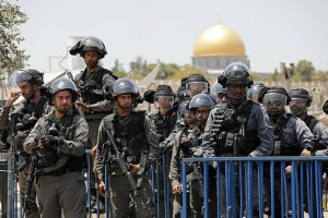 La lutte n'est pas encore terminée2