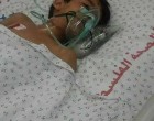 Gaza : Le jeune Palestinien Ahmed Abu Shaaban est mort après avoir été empêché plusieurs fois par l’entité sioniste de partir à l’étranger pour se faire soigner.