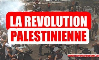 Que pensez-vous de l’Intifada (soulèvement) palestinienne actuellement en cours ?