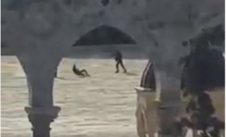 VIDEO CHOC: brutalité des forces d’occupation sionistes qui abattent de sang froid 3 jeunes Palestiniens