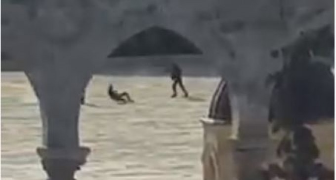 VIDEO CHOC: brutalité des forces d’occupation sionistes qui abattent de sang froid 3 jeunes Palestiniens