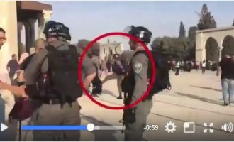 Regardez la « courageuse » armée israélienne qui ne peut attaquer que les femmes, et elle ne peut même pas tolérer les journalistes….