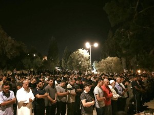 Voici des images MAGNIFIQUES de la prière du Isha hier à la mosquée d'Al Aqsa4