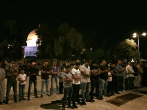 Voici des images MAGNIFIQUES de la prière du Isha hier à la mosquée d'Al Aqsa5